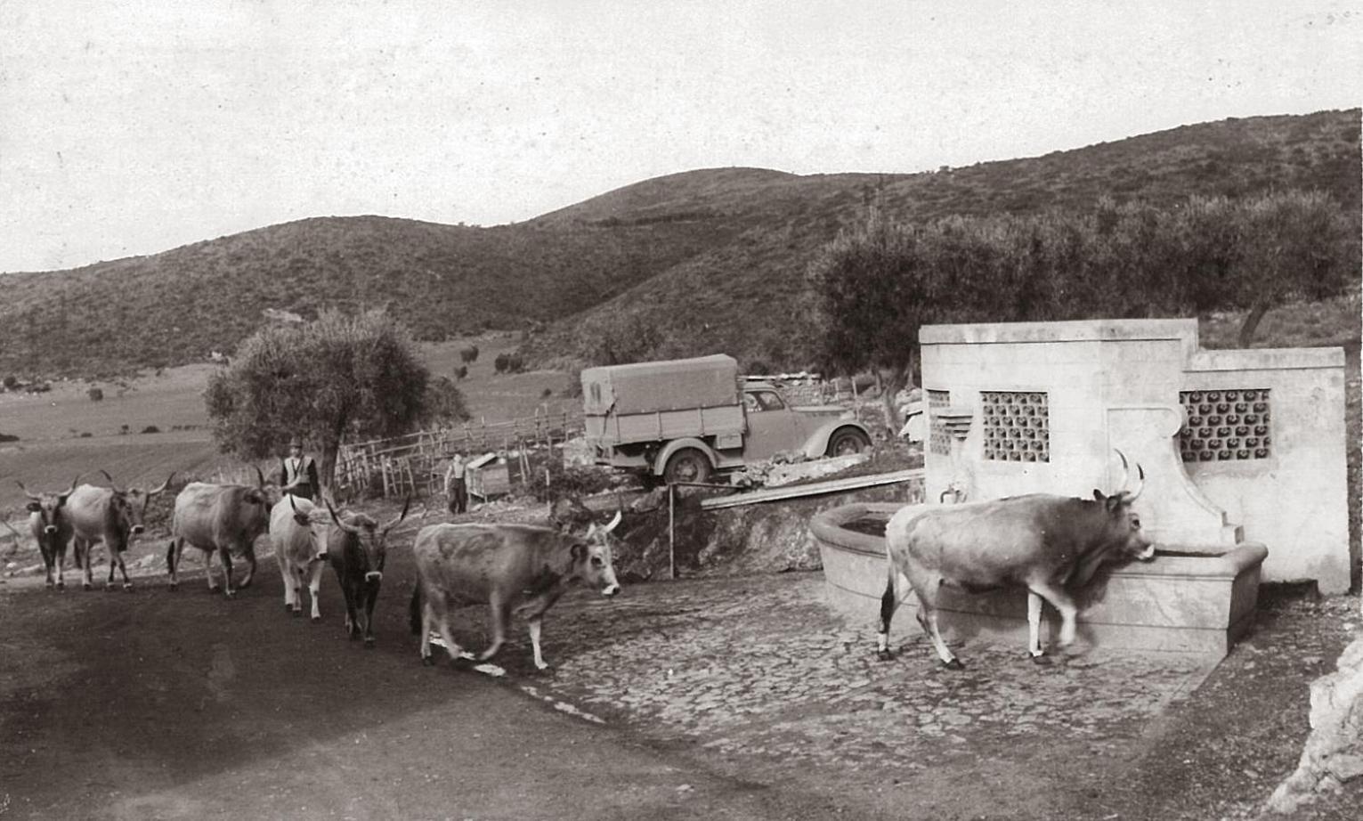Agriturismo Grazia Orbetello Buitenkant foto