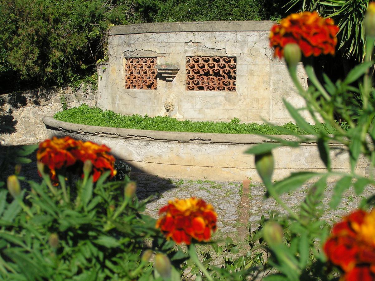 Agriturismo Grazia Orbetello Buitenkant foto