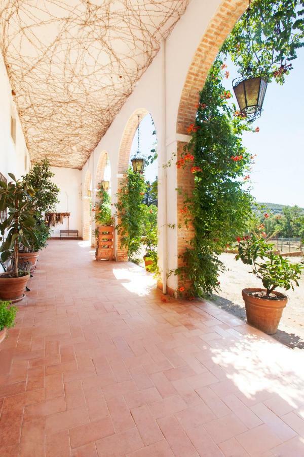 Agriturismo Grazia Orbetello Buitenkant foto